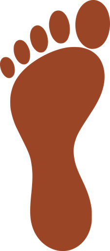 barefoot.services